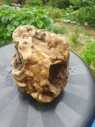 인생은 소풍처럼님의 사과 · 일상 작성글 사진