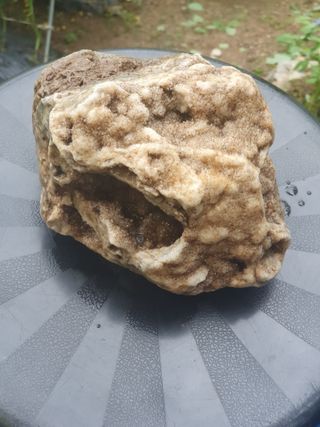 인생은 소풍처럼님의 사과 · 일상 작성글 사진