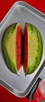 팜모닝 자유주제·자유게시판 게시글 이미지