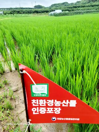 기원운님의 내 농사 경력 자랑하기 · 참여 작성글 사진