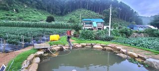 고춘석(고랑과이랑)님의 두릅 · 제초 작성글 사진