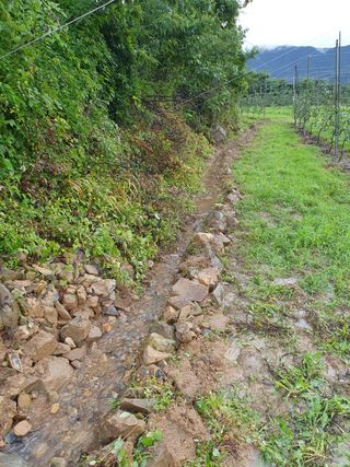 백수왕님의 사과 · 영농일지 작성글 사진