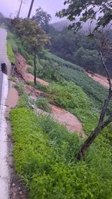 팜모닝 고추·자연재해•동물피해 게시글 이미지