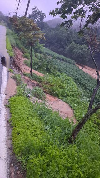 우대영님의 고추 · 자연재해•동물피해 작성글 사진