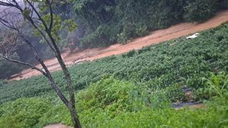 우대영님의 고추 · 자연재해•동물피해 작성글 사진