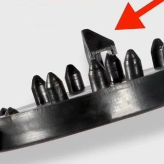 전순덕.동신유통님의 작성글 사진