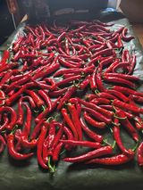 팜모닝 내 농사 경력 자랑하기·참여 게시글 이미지