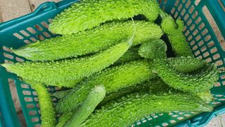 이은하님의 기타작물 · 자유게시판 작성글 사진