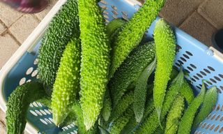 이은하님의 기타작물 · 자유게시판 작성글 사진