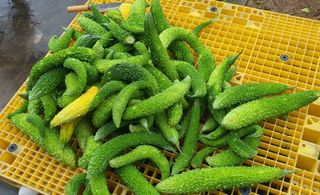 이은하님의 기타작물 · 자유게시판 작성글 사진