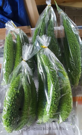 이은하님의 기타작물 · 자유게시판 작성글 사진