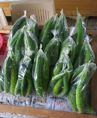 이은하님의 기타작물 · 자유게시판 작성글 사진