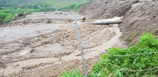 농사의 지식을 배움님의 자유주제 · 자유게시판 작성글 사진