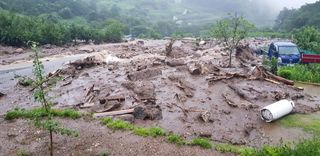 농사의 지식을 배움님의 자유주제 · 자유게시판 작성글 사진