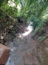 팜모닝 자유주제·자유게시판 게시글 이미지