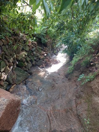 정규상님의 자유주제 · 자유게시판 작성글 사진