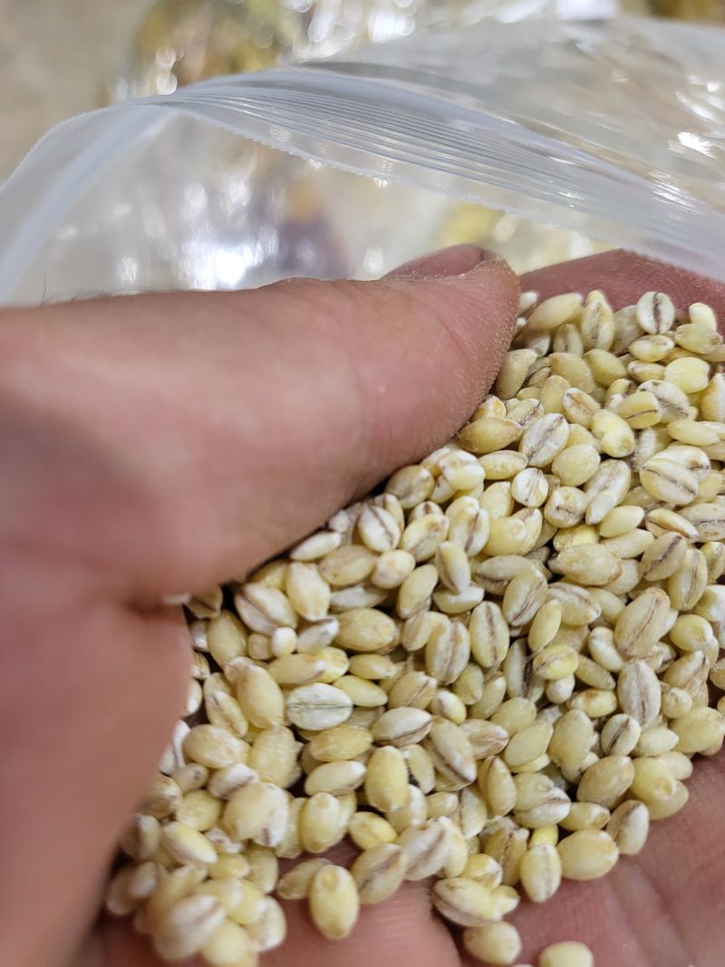 장터 상품 [햇보리쌀 5kg 판매해요 ( 쌀보리 )] 썸네일