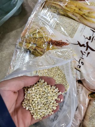 김영진(전남영광)님의 작성글 사진