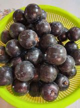 팜모닝 자유주제·사진전 게시글 이미지