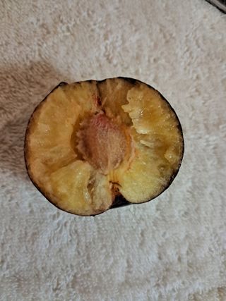 리라 님의 자유주제 · 사진전 작성글 사진