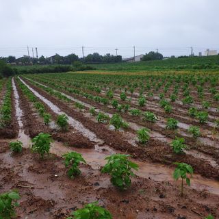 김영준님의 자유주제 · 자유게시판 작성글 사진