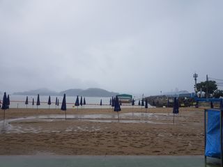 수기님의 자유주제 · 자유게시판 작성글 사진