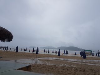 수기님의 자유주제 · 자유게시판 작성글 사진