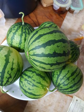 당근한개님의 기타작물 · 자유게시판 작성글 사진