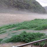 팜모닝 고추·일상 게시글 이미지