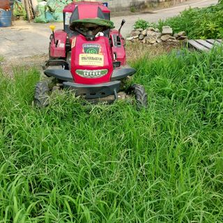 박수연님의 고추 · 일상 작성글 사진