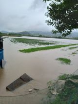 팜모닝 참깨·자유게시판 게시글 이미지