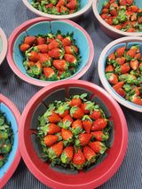 산청스폰지(최은주)님의 내 농사 경력 자랑하기·참여 작성글 사진