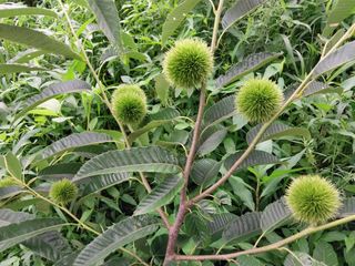 33okok님의 자유주제 · 자유게시판 작성글 사진