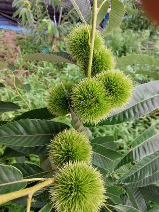 33okok님의 자유주제 · 자유게시판 작성글 사진