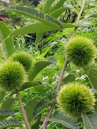 33okok님의 자유주제 · 자유게시판 작성글 사진