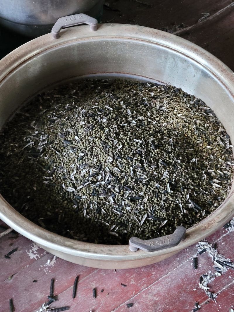 장터 상품 [녹두판매] 썸네일