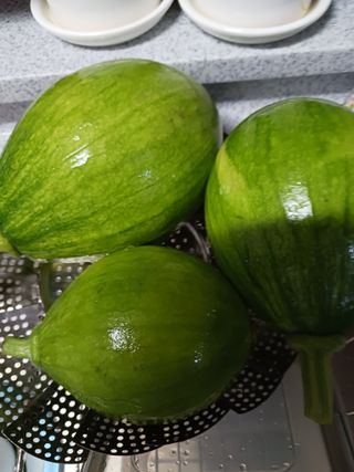 혁이네농원님의 내 농사 경력 자랑하기 · 참여 작성글 사진