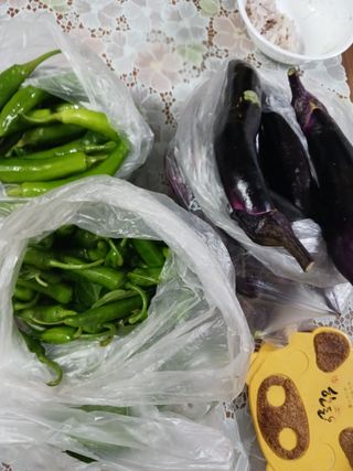 혁이네농원님의 내 농사 경력 자랑하기 · 참여 작성글 사진