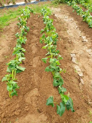 주옥님의 자유주제 · 자유게시판 작성글 사진