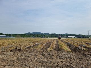 참깨22136님의 내 농사 경력 자랑하기·참여 작성글 사진
