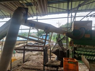 참깨22136님의 내 농사 경력 자랑하기 · 참여 작성글 사진