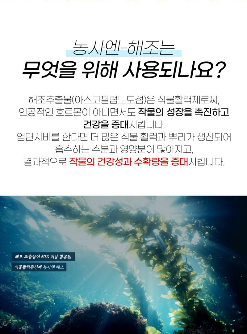 농사엔 공식님의 장터 판매 상품 [농사엔 해조 500ml 해조추출물 영양제] 첨부 사진