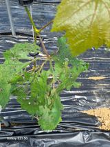 팜모닝 자유주제·자유게시판 게시글 이미지