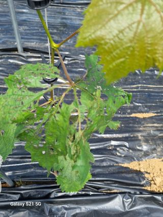 귀농대박님의 자유주제 · 자유게시판 작성글 사진