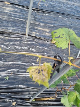 귀농대박님의 자유주제 · 자유게시판 작성글 사진