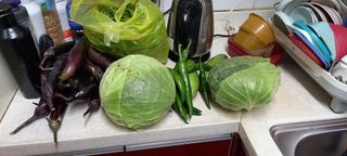 서강훈님의 기타작물 · 병해충상담 작성글 사진