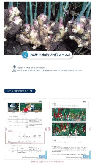 아그로플랜트님의 작성글 사진