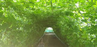 밤가시 여주농장님의 작성글 사진