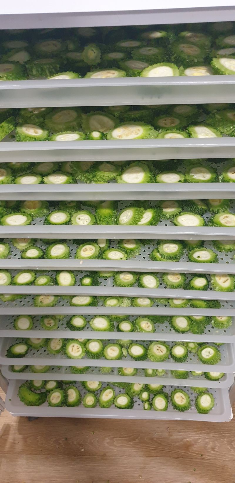 밤가시 여주농장님의 장터 판매 상품 [건여주. 볶은여주 200그램] 첨부 사진