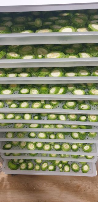 밤가시 여주농장님의 작성글 사진